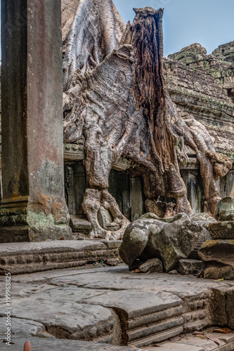 Cambodia Angkor Complex 360 © jearlwebb