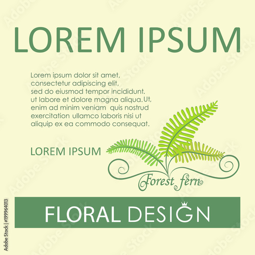 Forest fern. Flower greenery. Poster, label, flower green card with place for text. The image can be used by landscape designers, florists.  