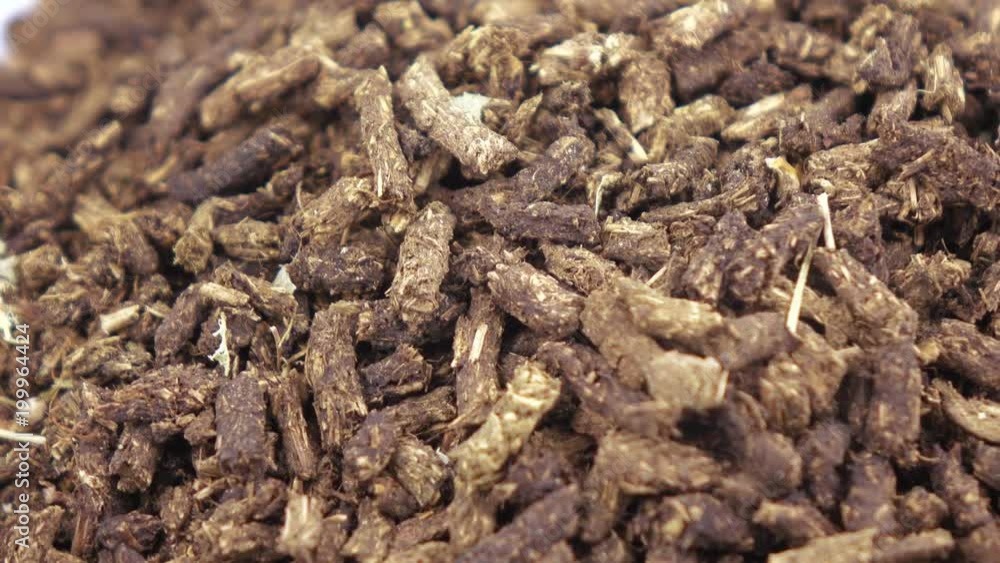 Ivan-tea is fermented Ivan-tea is fermented