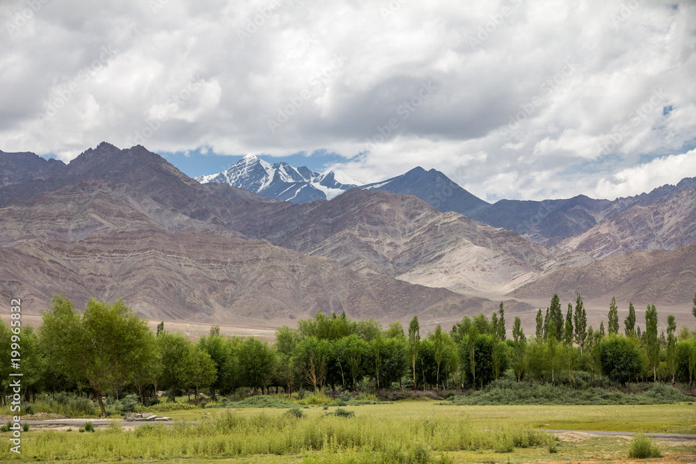 View of Stok Kangri from the river Indus  floodplain, Thiksay