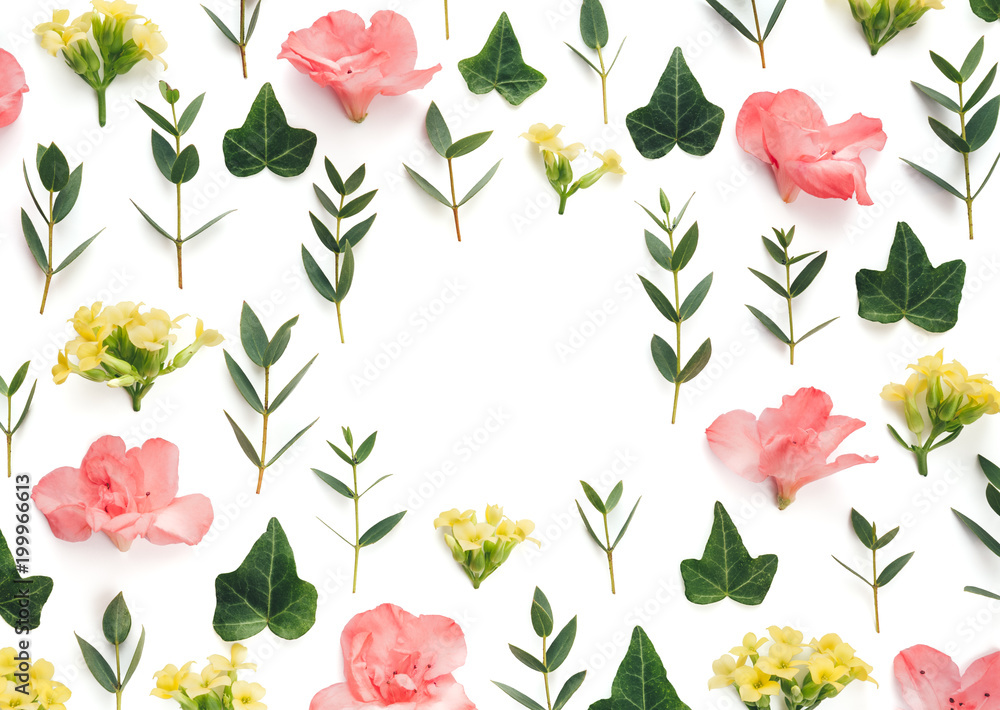 Spring Background With Colorful Flowers And Green Leaves On White Background