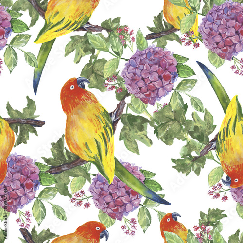 Backgroundless. Watercolor flowers, patterns, birds. Basis for design. Tropics, exotics photo