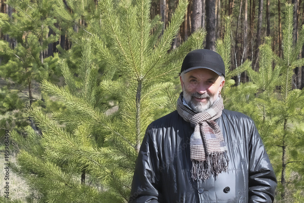 A man of mature age near young pine trees A man of mature age near young pine trees