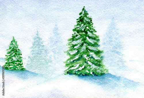Snow covered firs