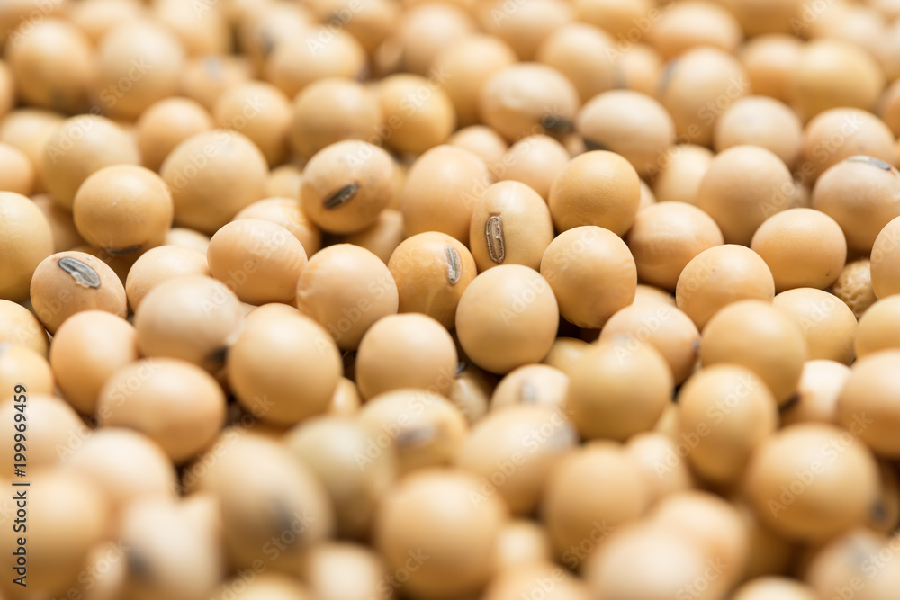 Soy beans background Soy beans background