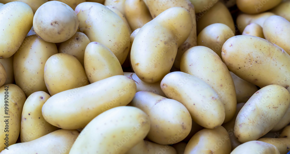New potatoes in basket at organic city market New potatoes in basket at organic city market