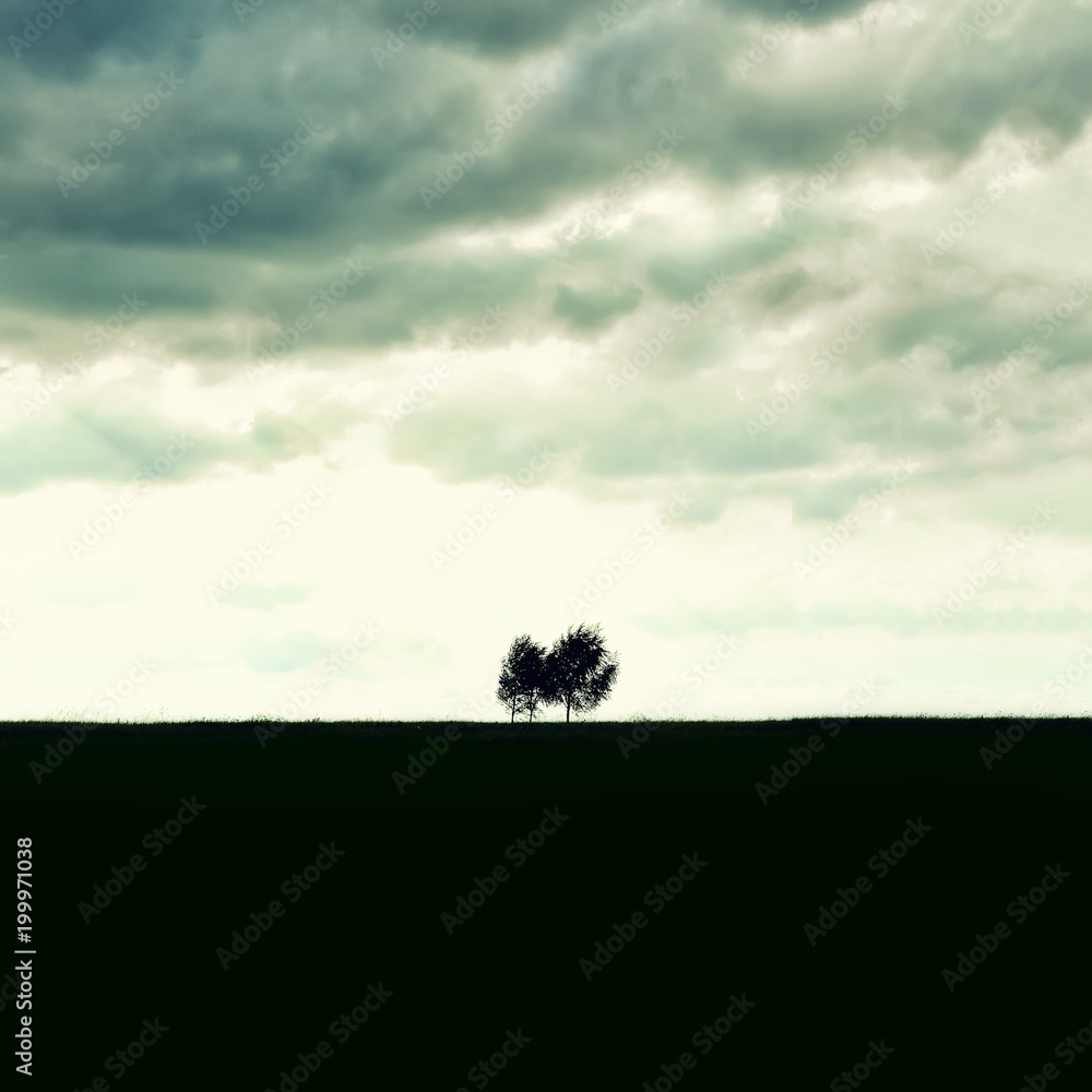 Fototapeta premium Minimalist single tree silhouette. Concept of loneliness, depression, escape, friendship, support, care, marriage. Nature background with copy space. Two trees alone against cloudy sky