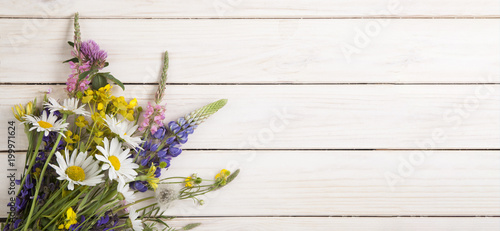 Fototapeta Naklejka Na Ścianę i Meble -  Wild flowers on old grunge white wooden background (chamomile lupine dandelions thyme mint bells rape)