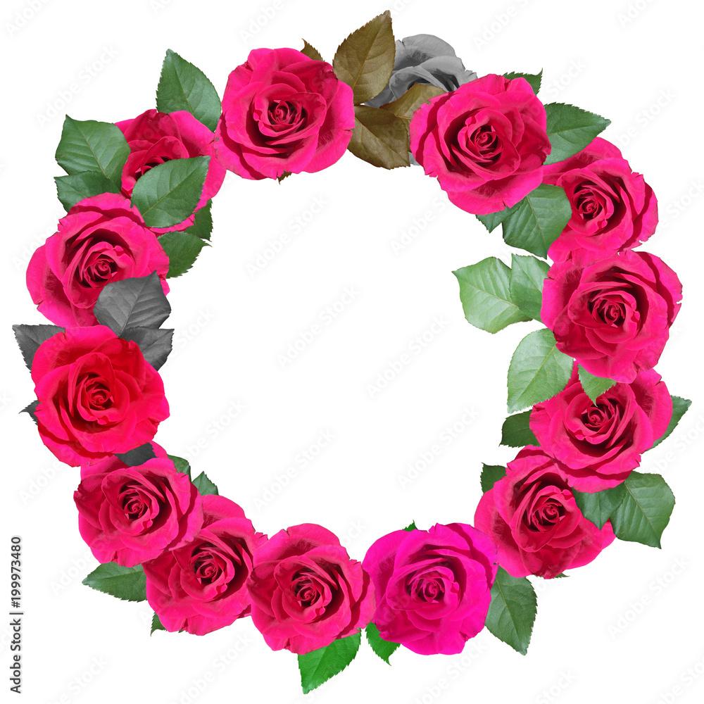 Obraz premium Wreath of crimson roses. Isolated