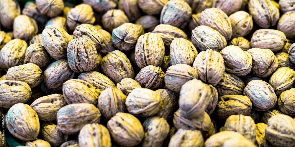 Pile of walnuts in shells background Pile of walnuts in shells background