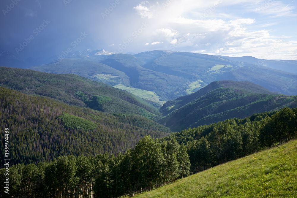 Green forested valley in Colorado during summer