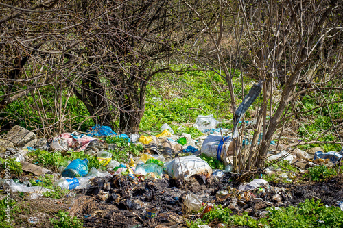 Pile of garbage in forest under trees. Environmental pollution. Problems of ecology