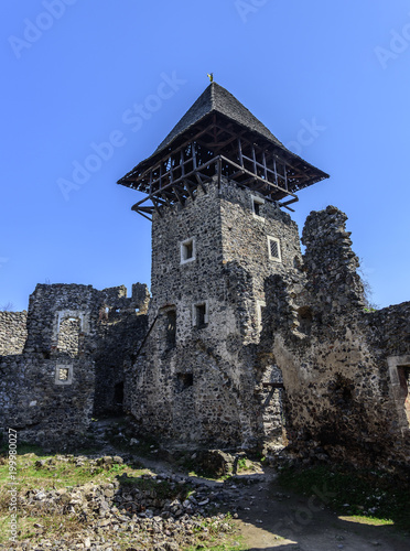 Nevitsky castle in the afternoon. Ruins of an ancient castle in the Carpathians. photo