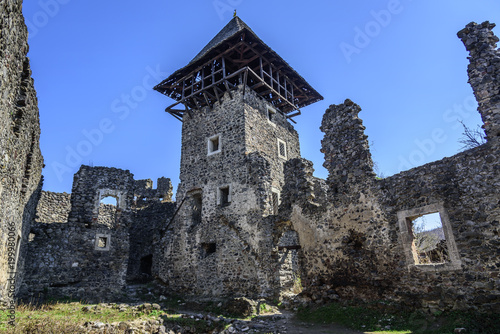 Nevitsky castle in the afternoon. Ruins of an ancient castle in the Carpathians.