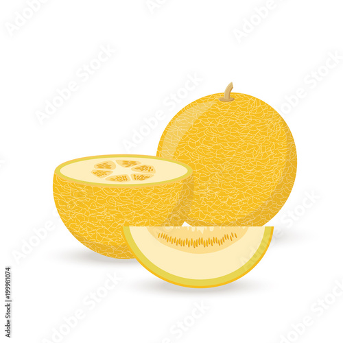 Icon of a ripe yellow melon