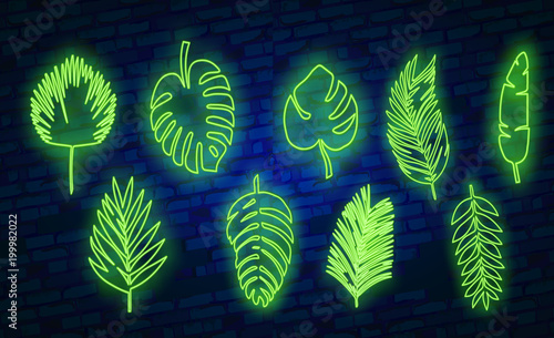 Vector tropical exotic leaves, realistic jungle leaves set isolated on blue background. Palm leaf collection.