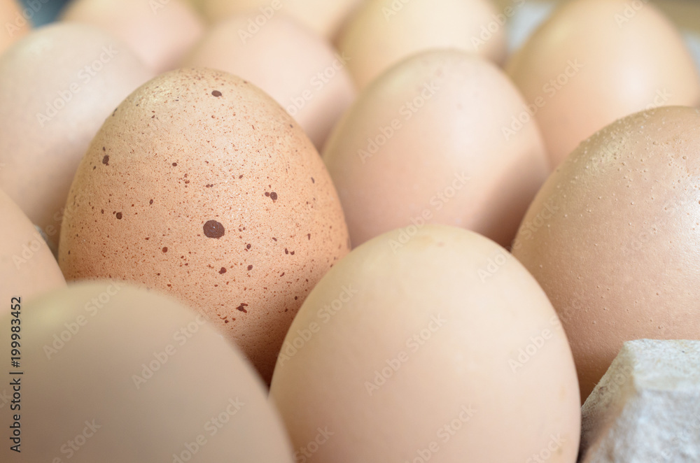 Brown eggs with one freckled egg in a cardboard tray. Brown eggs with one freckled egg in a cardboard tray.