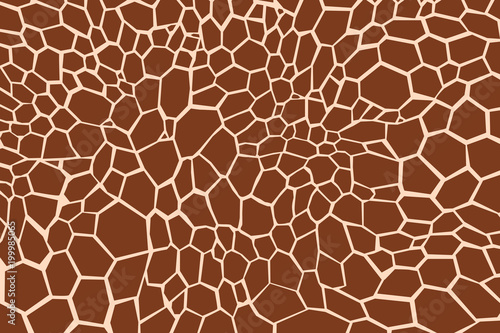 Print giraffe texture pattern brown white safari zoo jungle print