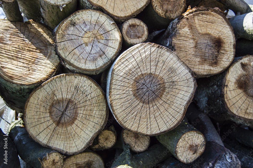 firewood stacked under the wall firewood stacked under the wall