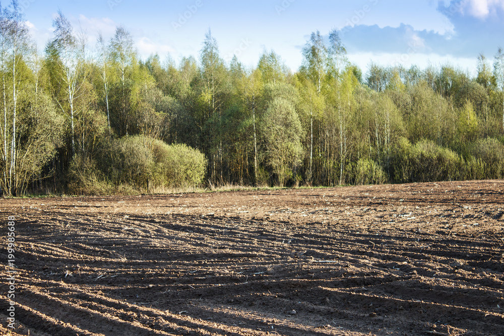 Plowed field. Agricultural land near the forest. Plowed field. Agricultural land near the forest.