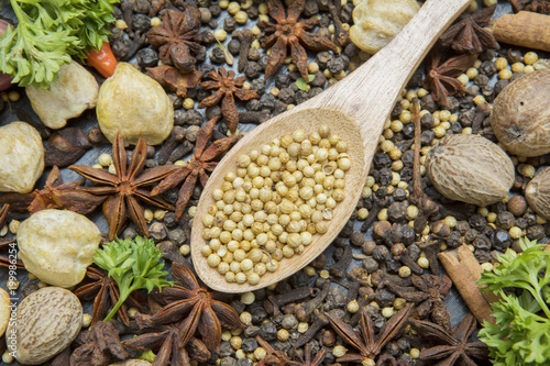 Coriander seeds in the wooden spoon