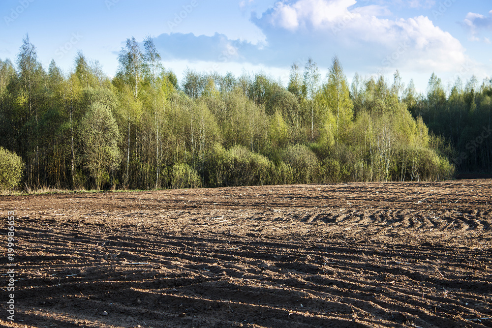 Plowed field. Agricultural land near the forest. Plowed field. Agricultural land near the forest.