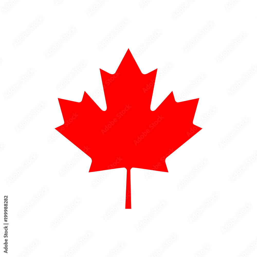 Fototapeta Maple leaf, the symbol of Canada. Vector illustration