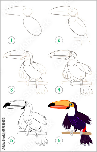 Page shows how to learn step by step to draw a cute toucan. Developing children skills for drawing and coloring. Vector image.