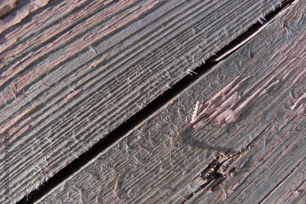 Fototapeta premium old wood board wooden rough gray texture wood closeup background backdrop for decor natural fiber material cut logs asleep aged timber shed old house
