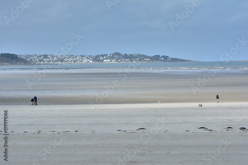 Des gens se promènent sur la plage avec leurs chiens en Bretagne