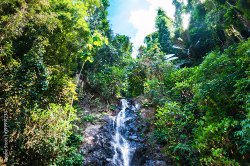 Waterfall in jungle. In the deep rainforest on mountain. Malaysia