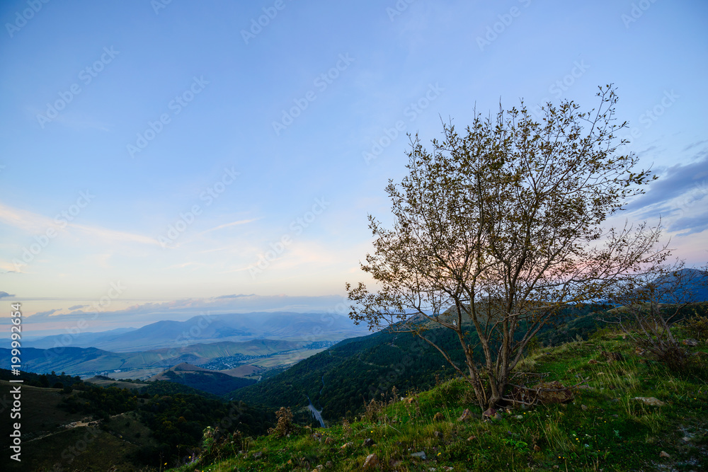 Beautiful landscape with alone tree, Armenia Beautiful landscape with alone tree, Armenia