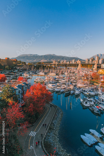 Photography autumn vibes in vancouver