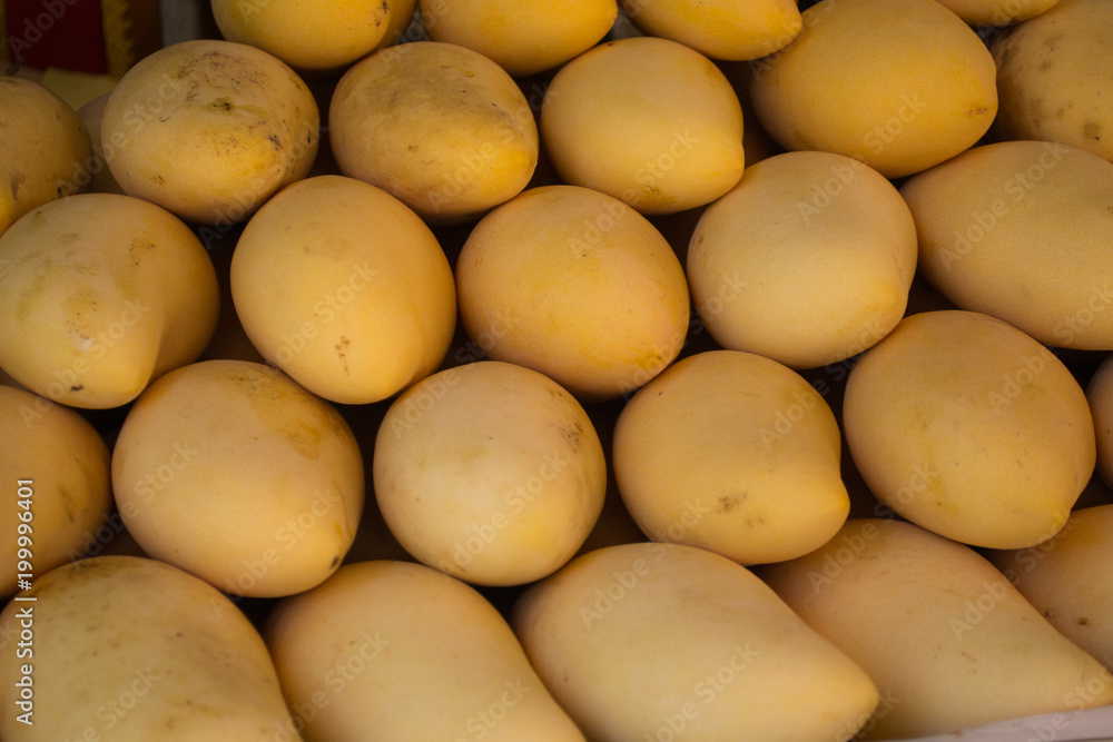Rows of yellow mangoes close-up. Beautiful fruit texture background. Mango is sold on the market in Thailand Rows of yellow mangoes close-up. Beautiful fruit texture background. Mango is sold on the market in Thailand
