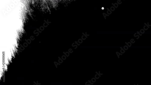Black ink spreading on white background with an amazingly detailed bleed effect. This footage can be used as a transition or reveal for your photo and video slideshows