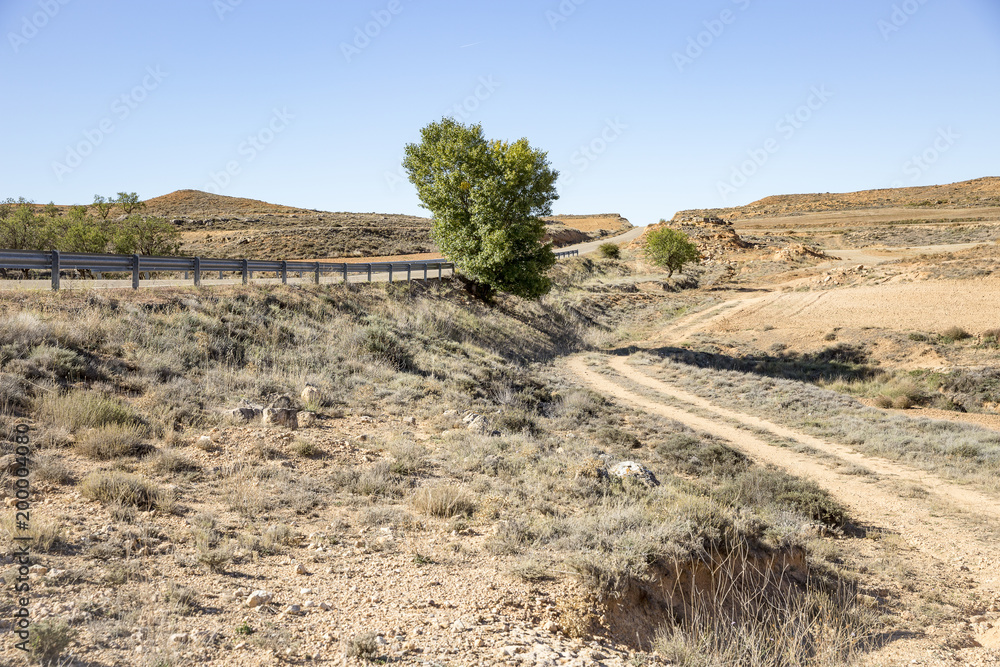 dry landscape with hills and a country road in Monreal de Ariza, province of Zaragoza, Spain