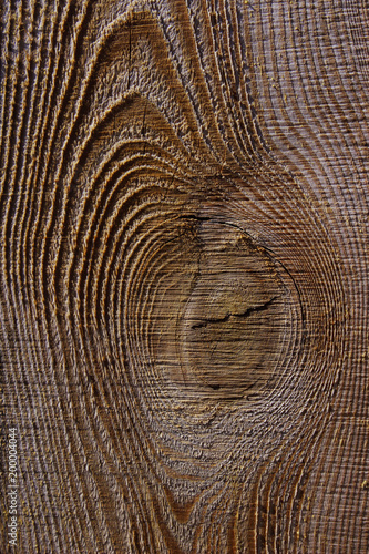 Wooden Texture Background.Cropped Shot Of A Textured Background.Wooden Texture. Wooden Background. Tree Texture. Tree Background. Crack Tree Texture. Nature Texture Background.