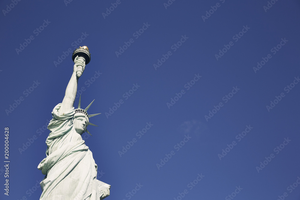 Fototapeta premium New York Freiheitsstatue