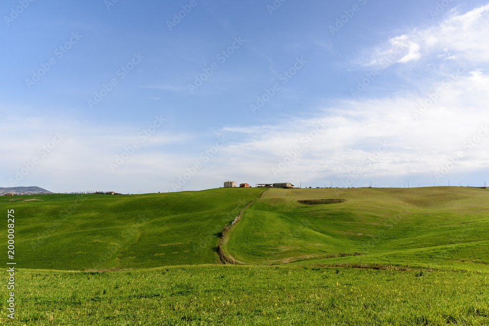 Rural green landscape in springtime.