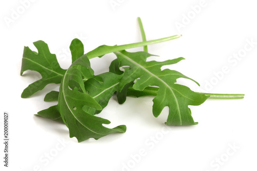 Green fresh rucola or arugula leaf isolated on white background