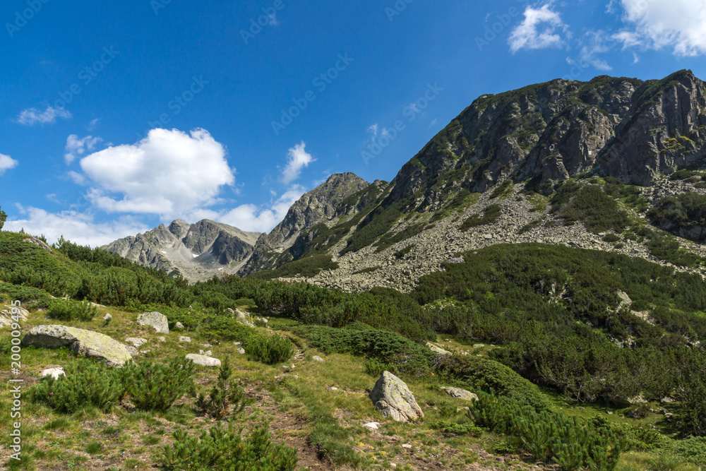 Landscape of Begovitsa River Valley, The Tooth, the dolls and Yalovarnika Peaks, Pirin Mountain, Bulgaria