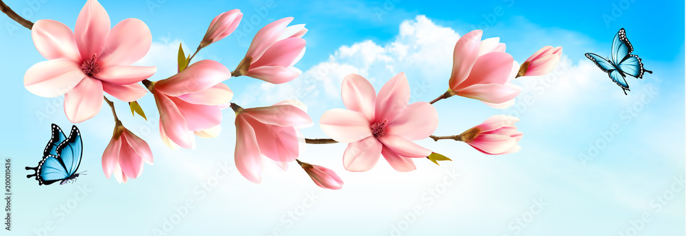 Naklejka premium Nature spring background with beautiful magnolia branches and butterfies. Vector.