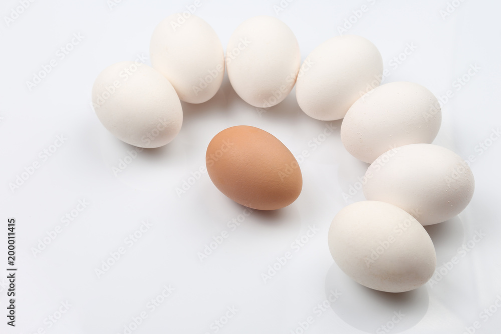 chicken eggs on white background chicken eggs on white background