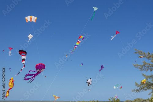 Kite competition on a sunny hot day. Colorful, creative kites fly against a deep blue sky in the caribbean