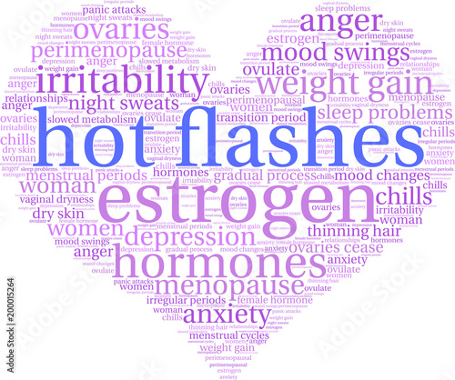 Hot Flashes word cloud on a white background. 