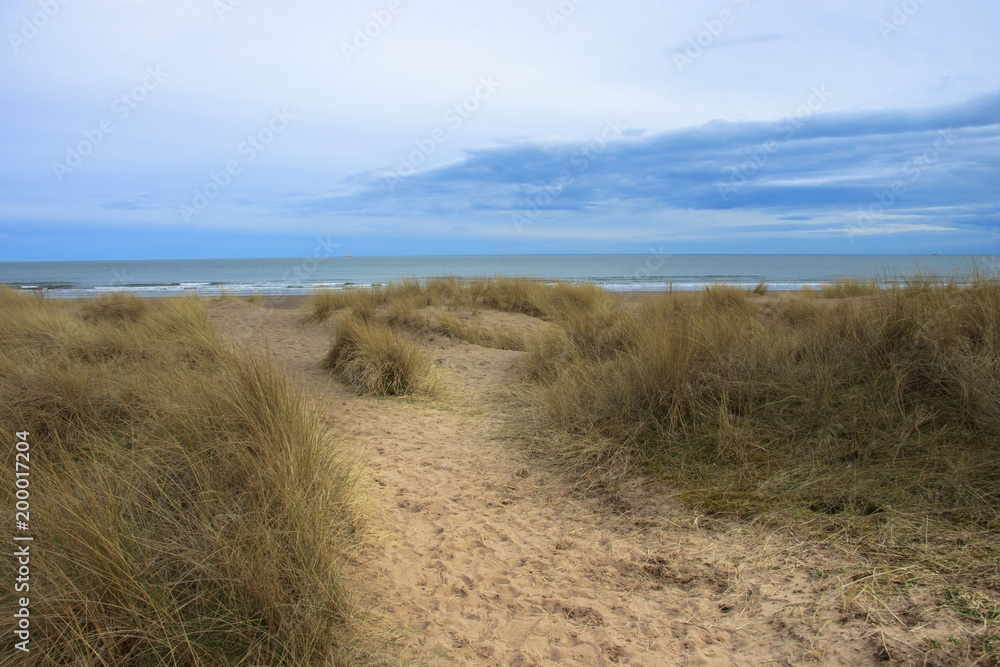 Dunes on the beach. St Cyrus, Aberdeenshire, Scotland, UK. Dunes on the beach. St Cyrus, Aberdeenshire, Scotland, UK.