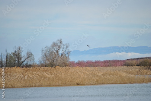 Pantano de Utxesa