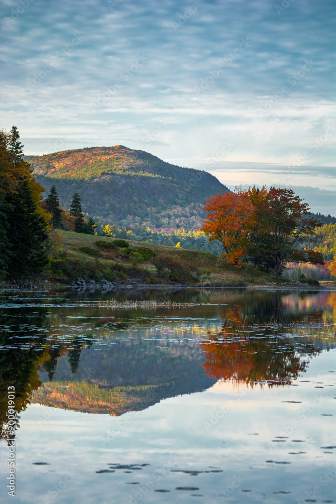 Acadia National Park during fall foliage season reflecting in the water