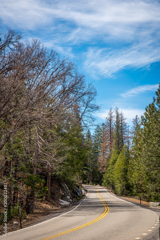 Naklejka premium Road Through the Forest and Mountains at yosemite