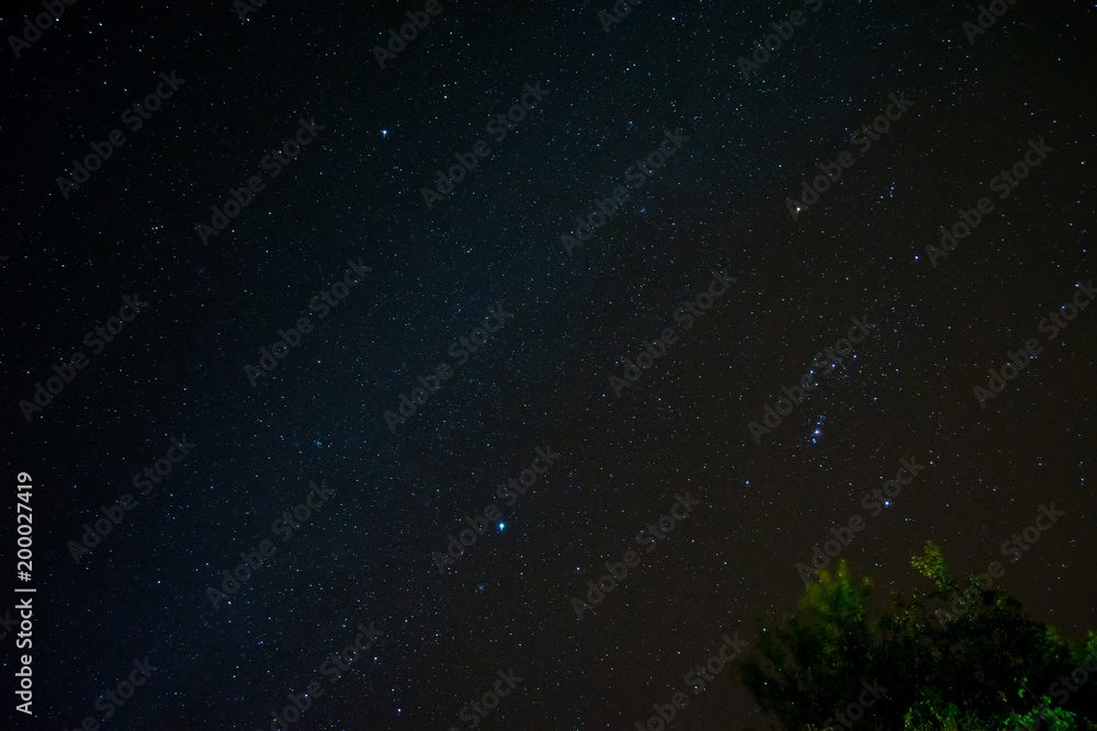 Fototapeta premium Stars